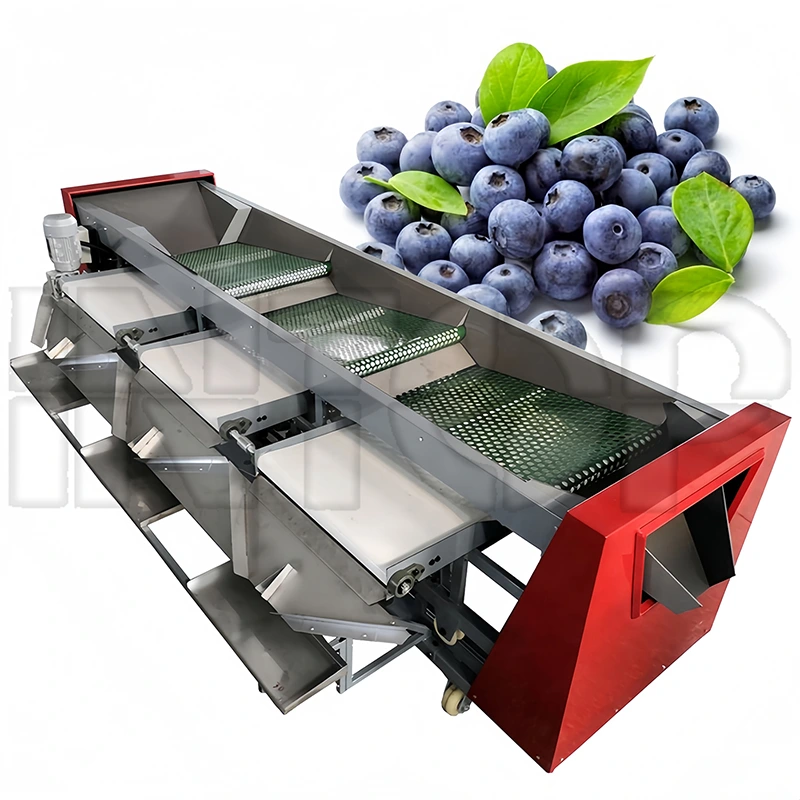 Fruit and Vegetable Sorting Machine