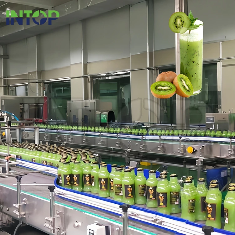 Linya ng Produksyon ng Kiwi Juice