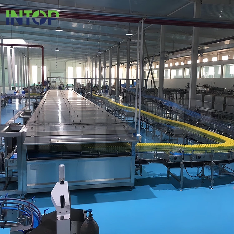 Linya ng Produksyon ng Mango Juice