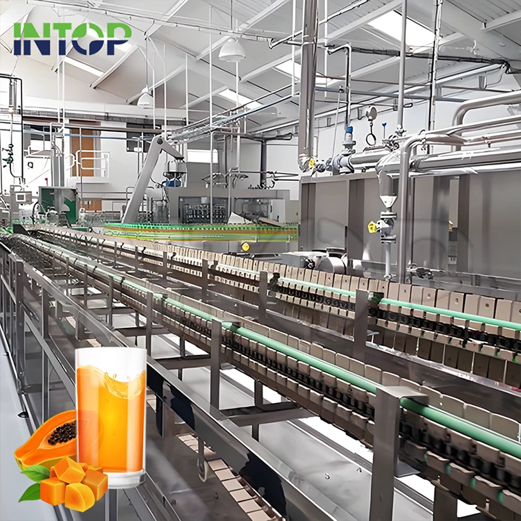 Papaya Juice Production Line